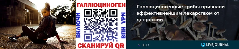 Галлюциногенные грибы MAGIC MUSHROOMS  Канаш 